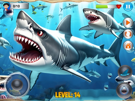 Angry Shark Simulator Games 3d poster