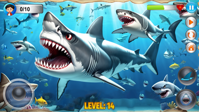 Angry Shark Simulator Games 3d poster