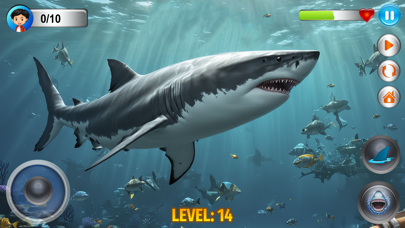 Angry Shark Simulator Games 3d poster