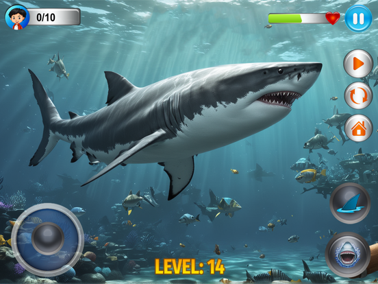 Angry Shark Simulator Games 3d poster