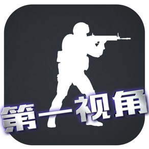 第一视角 for CS:GO