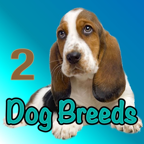 Dog Breeds of the World