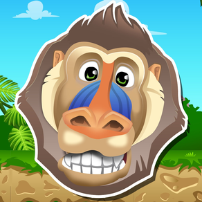 A Baboon Ape Match