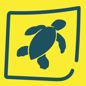 Gumbo Limbo Sea Turtle Day '18