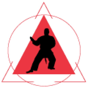 Elite Karate Academy