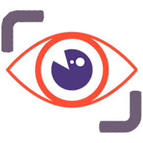Data Eye