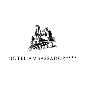 Hotel Ambassador Brig