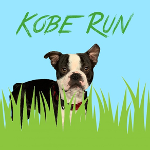Kobe Run
