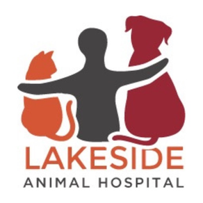 Lakeside Animal Hospital FL