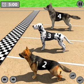 Dog Racing Game - Dog Games