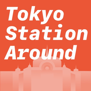 Tokyo Station Around