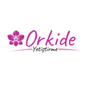 Orkide Yetiştirme