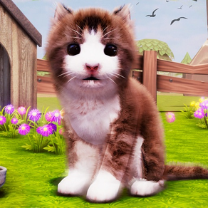 Little Kitten-My Cute Cat Game