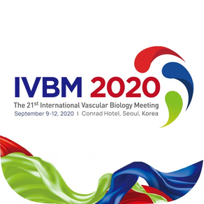 IVBM 2020