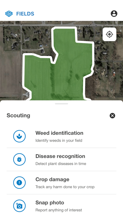 TAP Fields Plakat