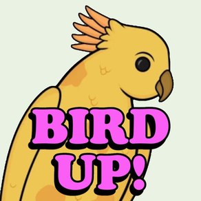Bird Up — Soarcast