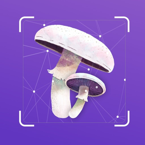 Mushroom id- Mushroom identify