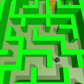 Escape Mazes 3D