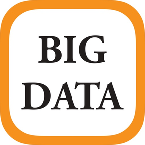 Big Data 2020