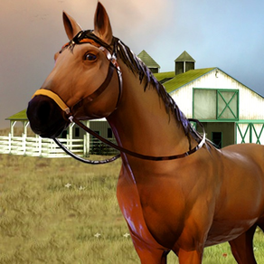 My Caring Horses Farm Pony 3D