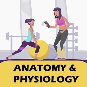 Level 2 Anatomy & Physiology