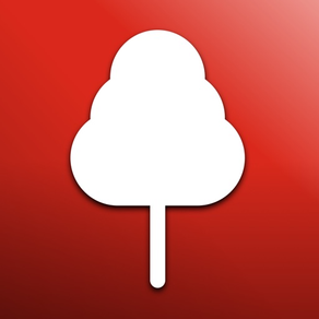 Forest News - Fan App