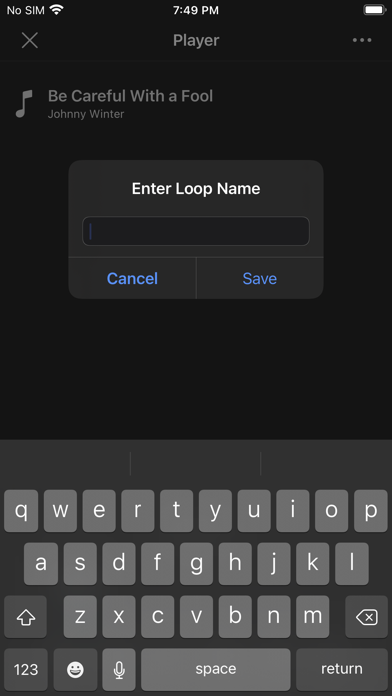 Loopsit 포스터