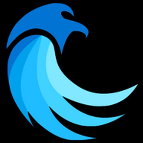 Blue Falcon - Crypto Tracker