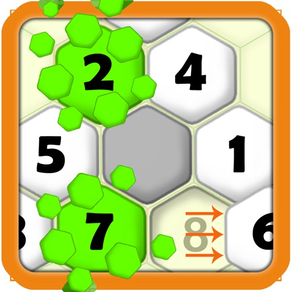 Hexa Puzzle - Blocks Sort Game