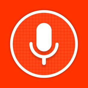 Voice Recorder - voice to text