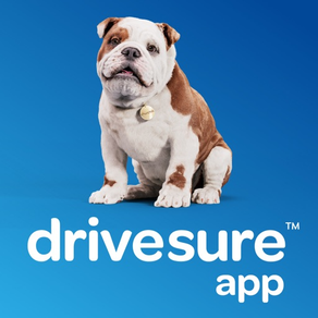 DriveSure App