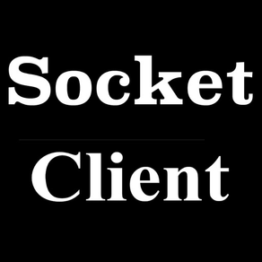 SocketClient