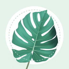 PlantMe - AI Plant Identifier