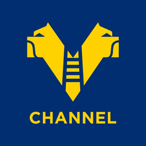 HV Channel