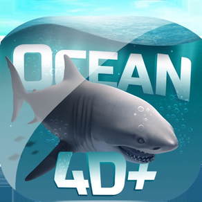 Ocean 4D+