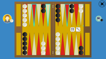 Classic Backgammon Touch poster