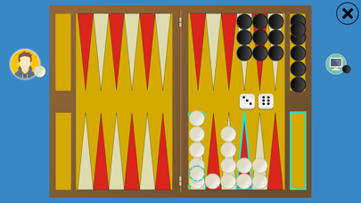 Classic Backgammon Touch poster