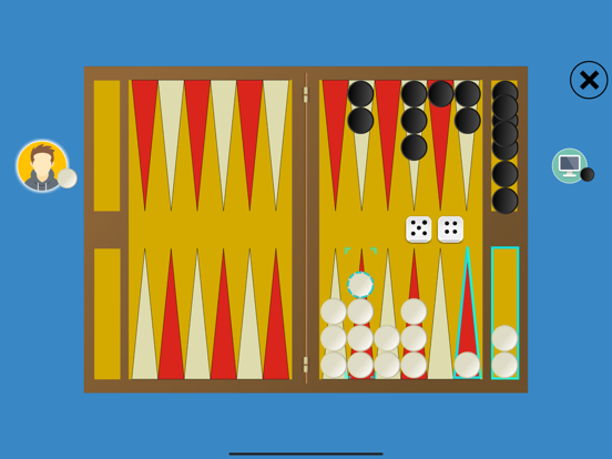 Classic Backgammon Touch poster