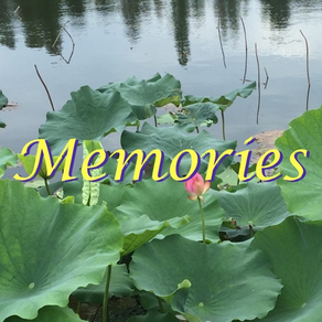 Memories: Photo Widget