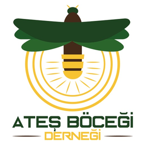 Ateş Böceği Derneği