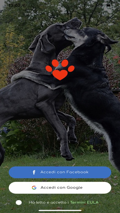 Petdate poster