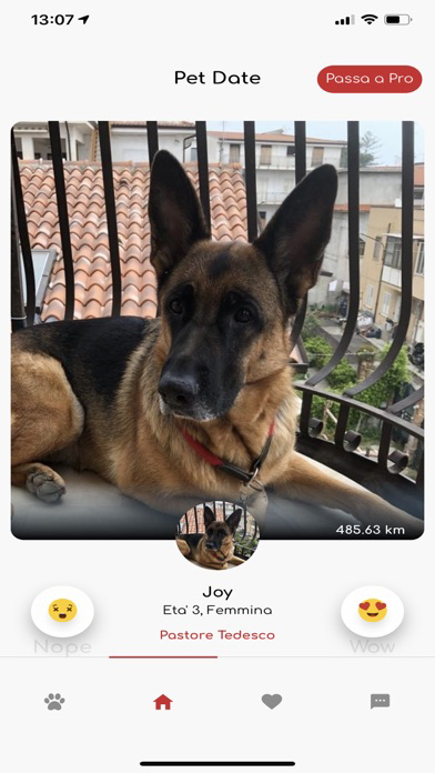 Petdate poster