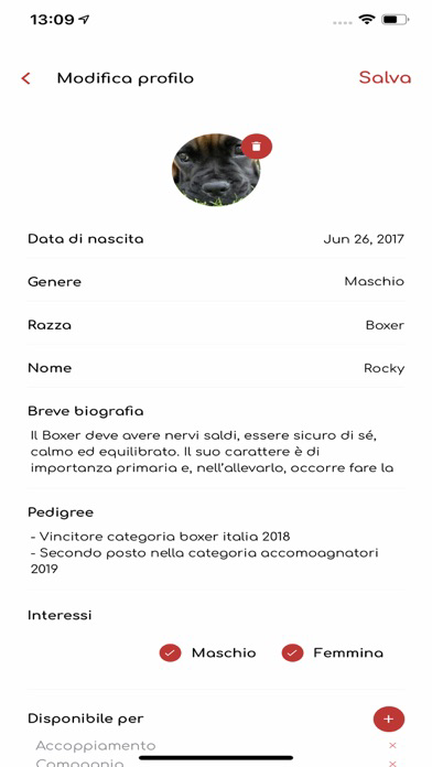 Petdate poster