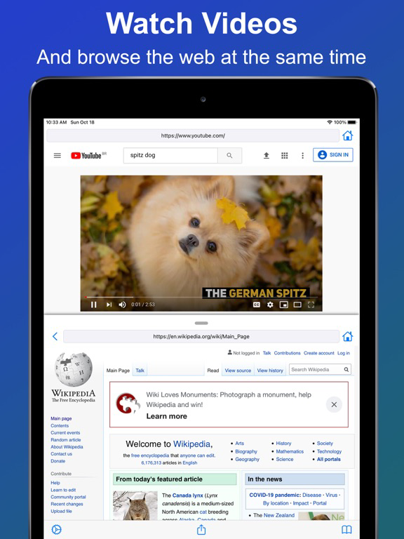 Split View Multitasking Screen for iOS (iPhone/iPad/iPod touch) - Free ...