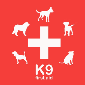 Erste Hilfe für Hunde K9