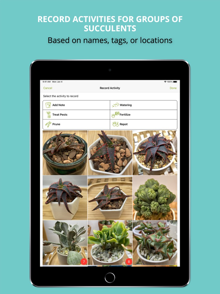 Succulent Tracker (Legacy) الملصق