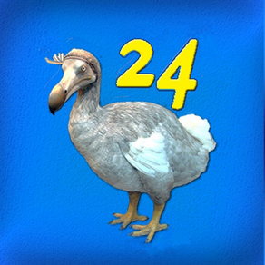 DoDo 24