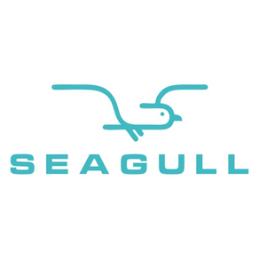 Seagull - ride with pleasure