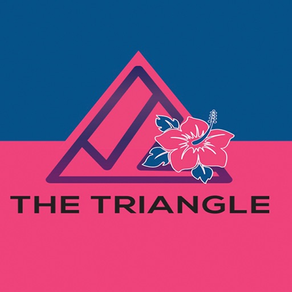 The Triangle Bermuda