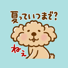 Putaro the Poodle Summer/Fall